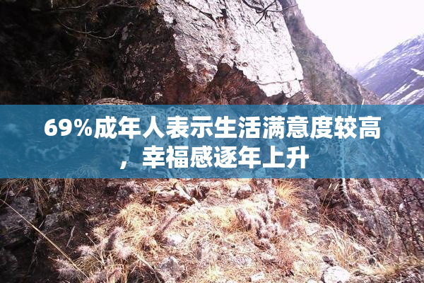 69%成年人表示生活满意度较高，幸福感逐年上升