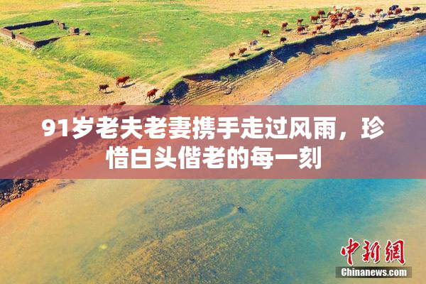 91岁老夫老妻携手走过风雨，珍惜白头偕老的每一刻
