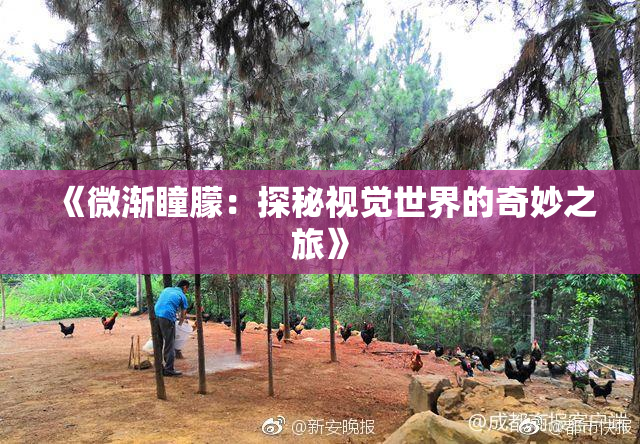 《微渐瞳朦：探秘视觉世界的奇妙之旅》
