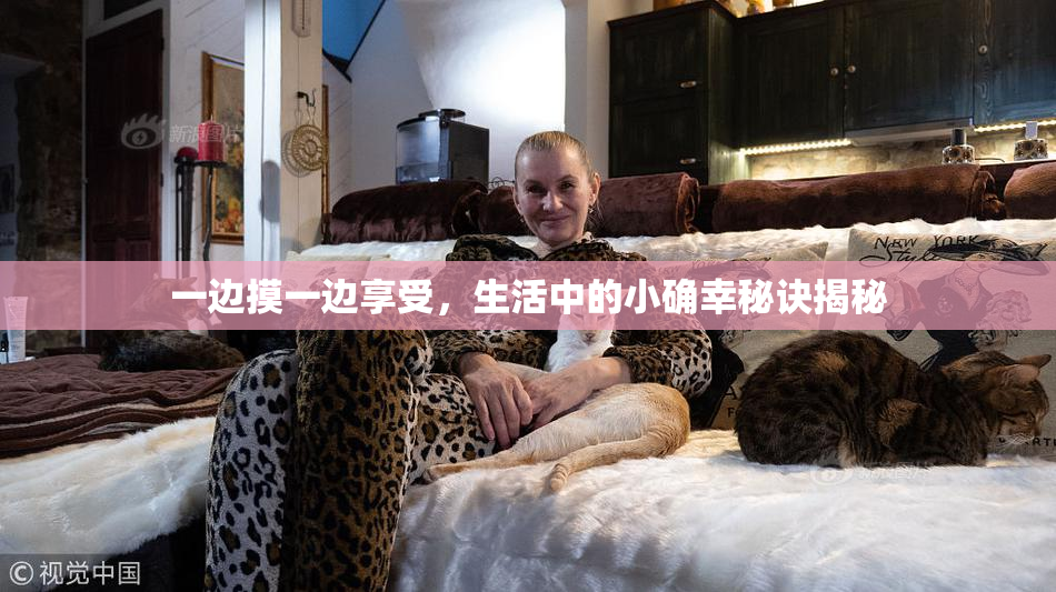 一边摸一边享受，生活中的小确幸秘诀揭秘