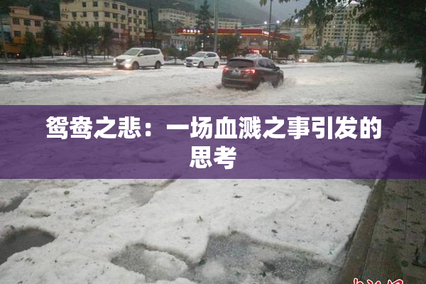 鸳鸯之悲：一场血溅之事引发的思考