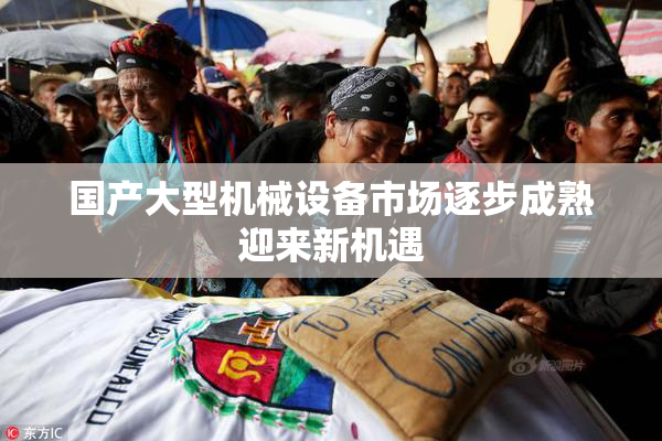 国产大型机械设备市场逐步成熟迎来新机遇
