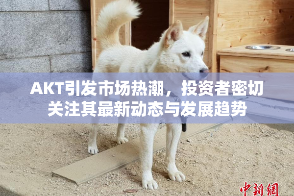 AKT引发市场热潮，投资者密切关注其最新动态与发展趋势
