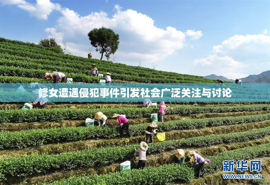 修女遭遇侵犯事件引发社会广泛关注与讨论