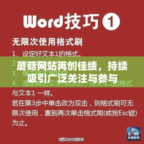 蘑菇网站再创佳绩，持续吸引广泛关注与参与