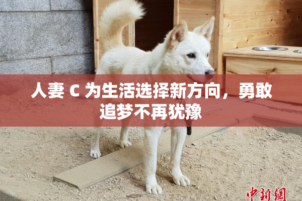 人妻 C 为生活选择新方向，勇敢追梦不再犹豫
