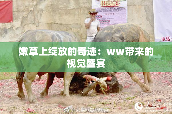 嫩草上绽放的奇迹：ww带来的视觉盛宴