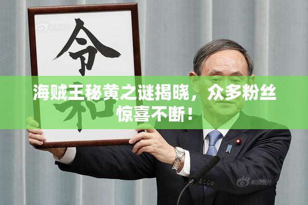 海贼王秘黄之谜揭晓，众多粉丝惊喜不断！
