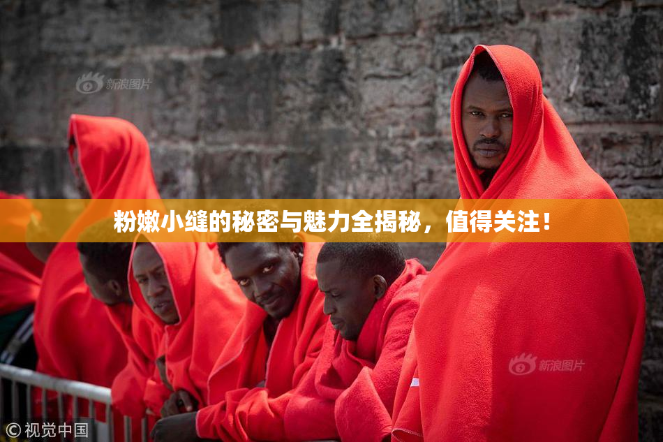 粉嫩小缝的秘密与魅力全揭秘，值得关注！