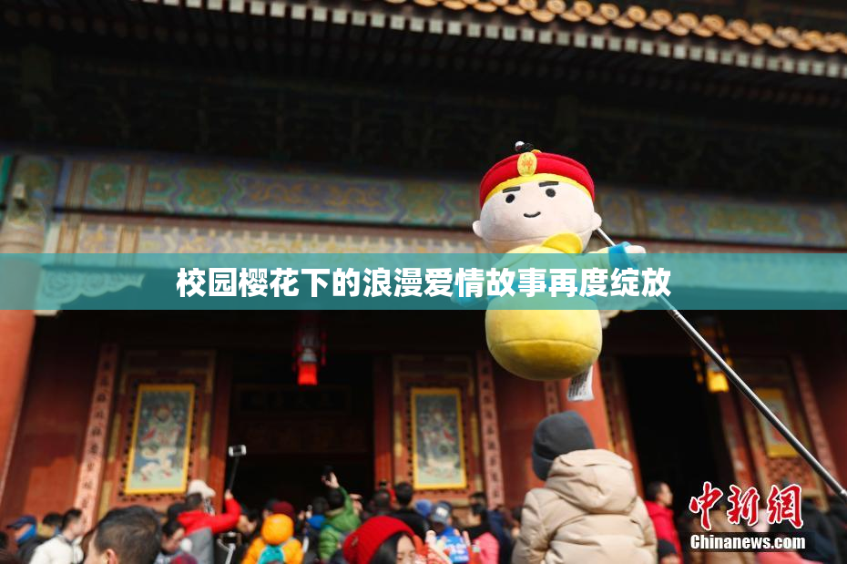 校园樱花下的浪漫爱情故事再度绽放