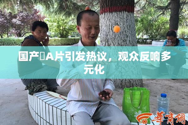 国产婬A片引发热议，观众反响多元化