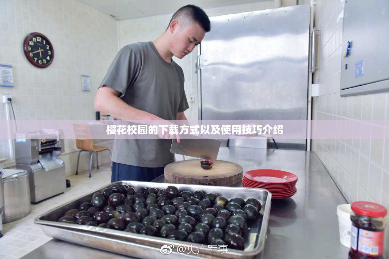 樱花校园的下载方式以及使用技巧介绍