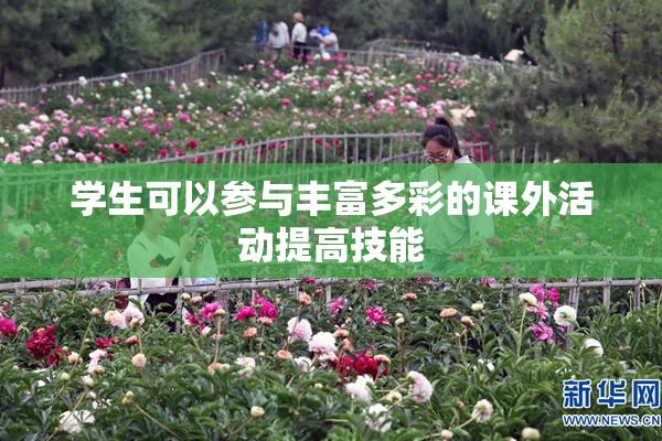 学生可以参与丰富多彩的课外活动提高技能