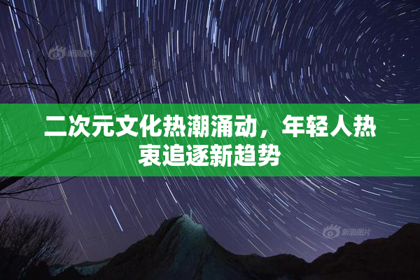 二次元文化热潮涌动，年轻人热衷追逐新趋势