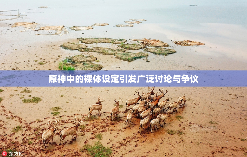 原神中的裸体设定引发广泛讨论与争议