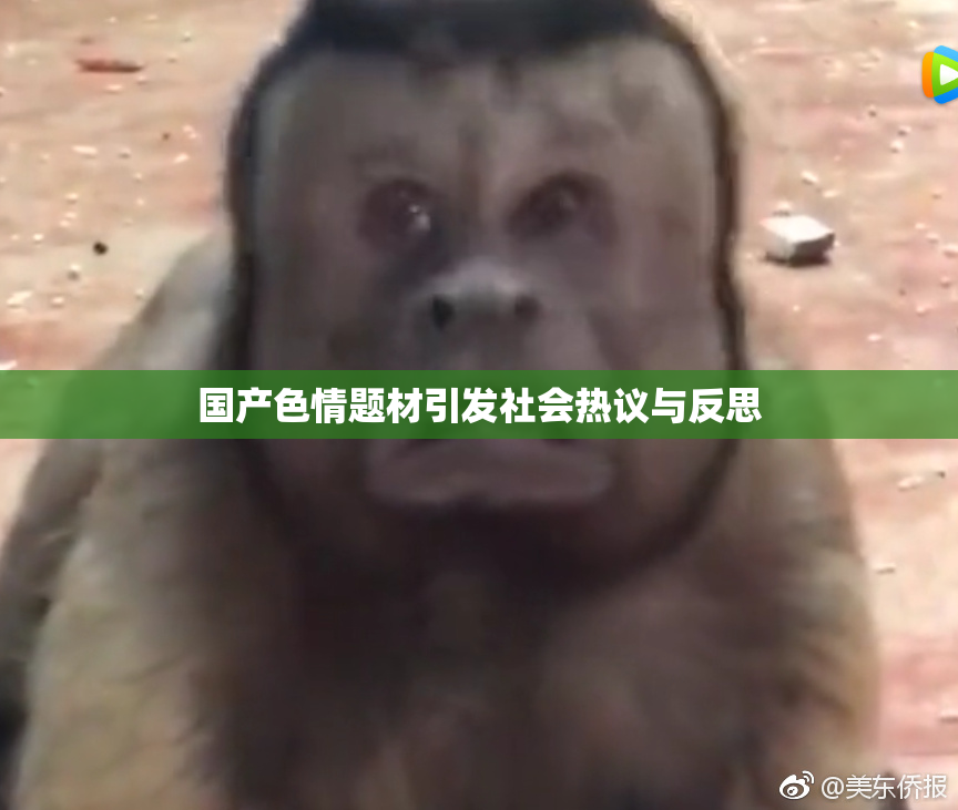 国产色情题材引发社会热议与反思