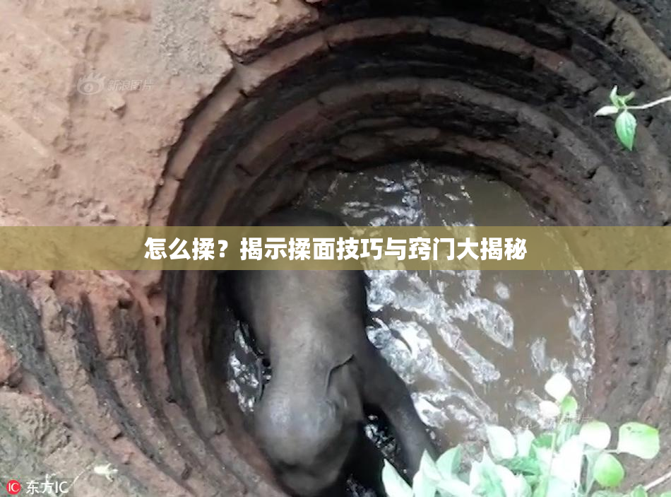 怎么揉？揭示揉面技巧与窍门大揭秘
