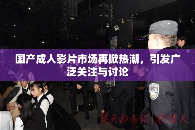 国产成人影片市场再掀热潮，引发广泛关注与讨论