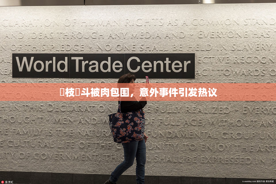 狛枝凪斗被肉包围，意外事件引发热议