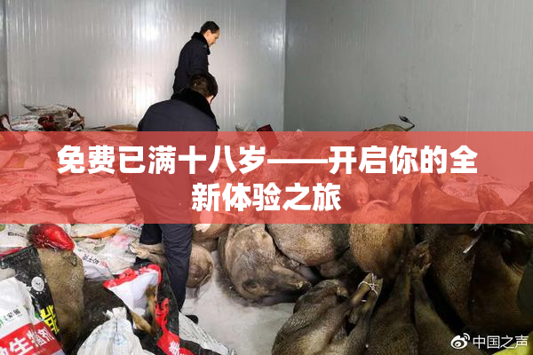 免费已满十八岁——开启你的全新体验之旅