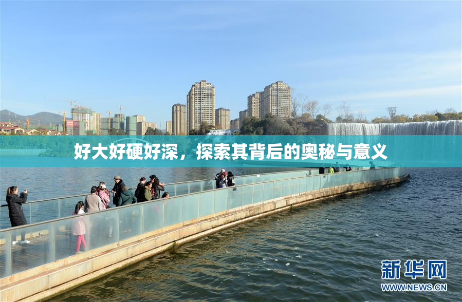 好大好硬好深，探索其背后的奥秘与意义