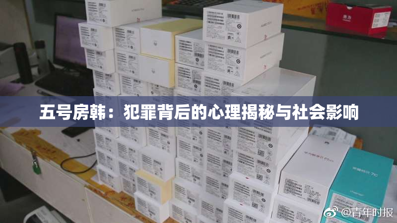 五号房韩：犯罪背后的心理揭秘与社会影响