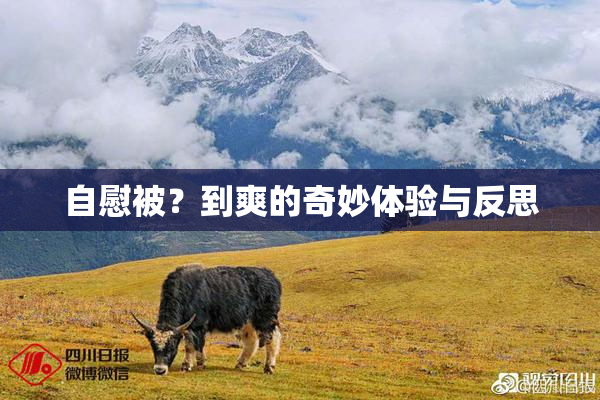 自慰被？到爽的奇妙体验与反思