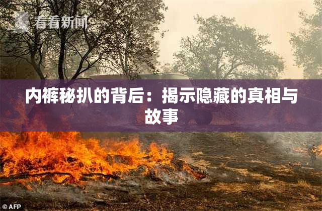 内裤秘扒的背后：揭示隐藏的真相与故事