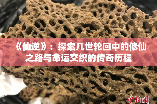 《仙逆》：探索几世轮回中的修仙之路与命运交织的传奇历程
