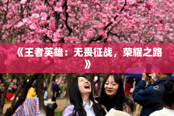 《王者英雄：无畏征战，荣耀之路》