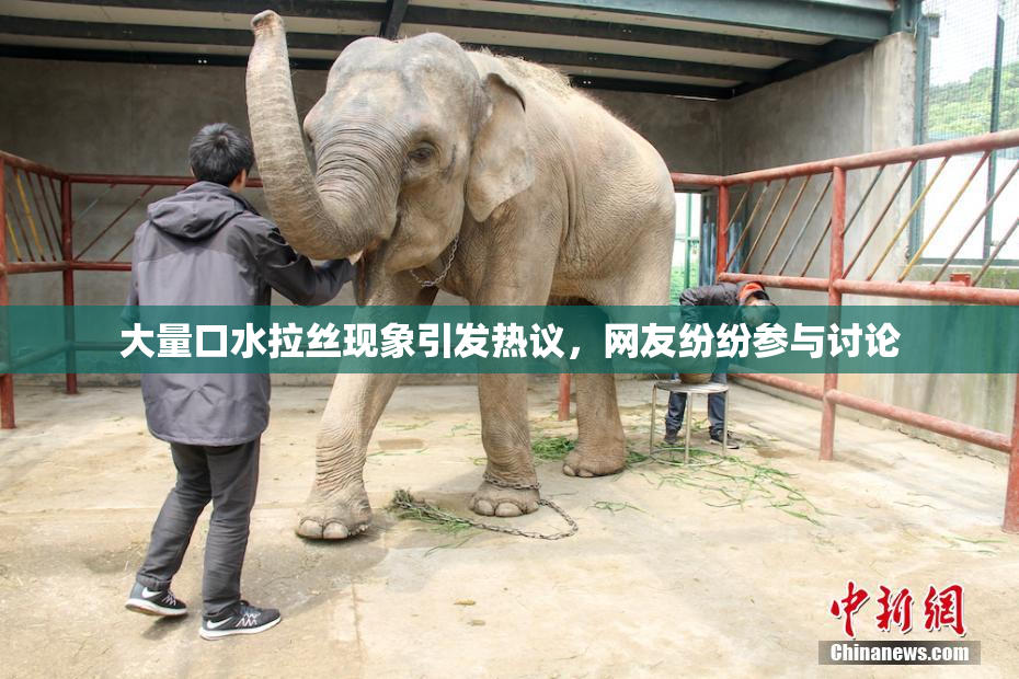 大量口水拉丝现象引发热议，网友纷纷参与讨论