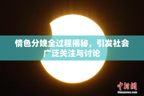 情色分娩全过程揭秘，引发社会广泛关注与讨论