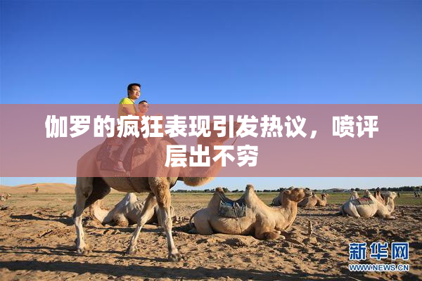 伽罗的疯狂表现引发热议，喷评层出不穷