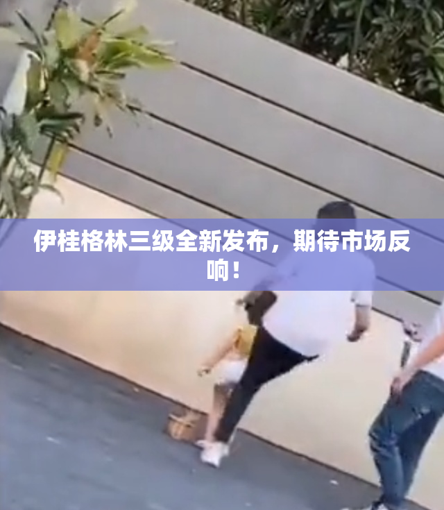 伊桂格林三级全新发布，期待市场反响！