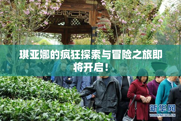 琪亚娜的疯狂探索与冒险之旅即将开启！