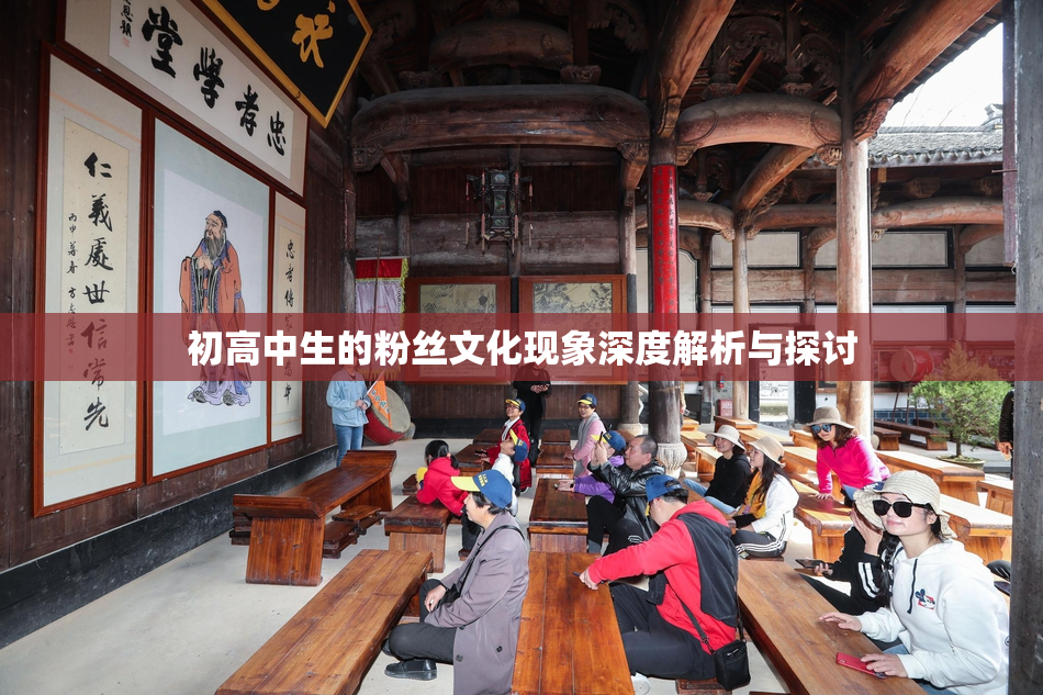 初高中生的粉丝文化现象深度解析与探讨