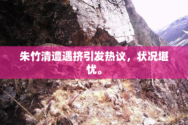 朱竹清遭遇挤引发热议，状况堪忧。