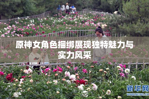 原神女角色捆绑展现独特魅力与实力风采