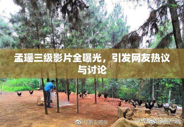 孟瑶三级影片全曝光，引发网友热议与讨论