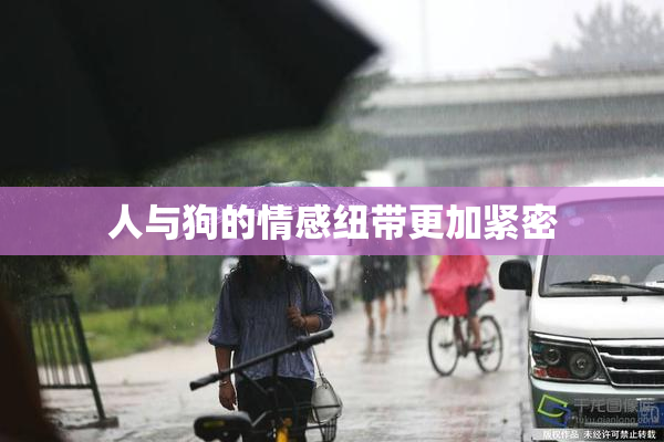 人与狗的情感纽带更加紧密