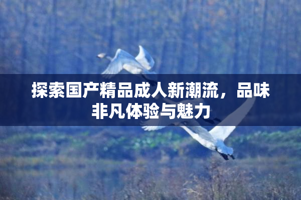 探索国产精品成人新潮流，品味非凡体验与魅力