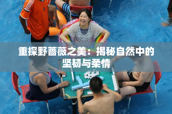 重探野蔷薇之美：揭秘自然中的坚韧与柔情