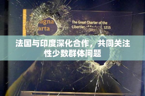 法国与印度深化合作，共同关注性少数群体问题