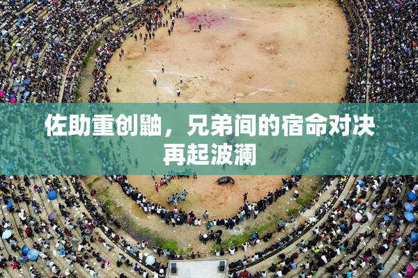 佐助重创鼬，兄弟间的宿命对决再起波澜
