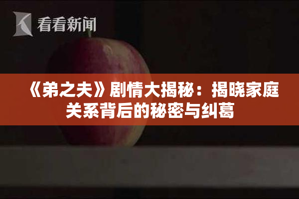 《弟之夫》剧情大揭秘：揭晓家庭关系背后的秘密与纠葛