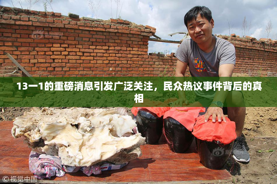 13一1的重磅消息引发广泛关注，民众热议事件背后的真相