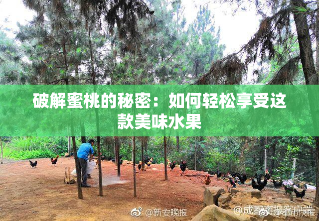 破解蜜桃的秘密：如何轻松享受这款美味水果