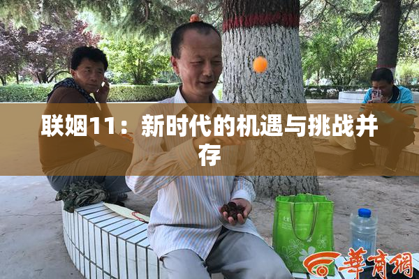 联姻11：新时代的机遇与挑战并存