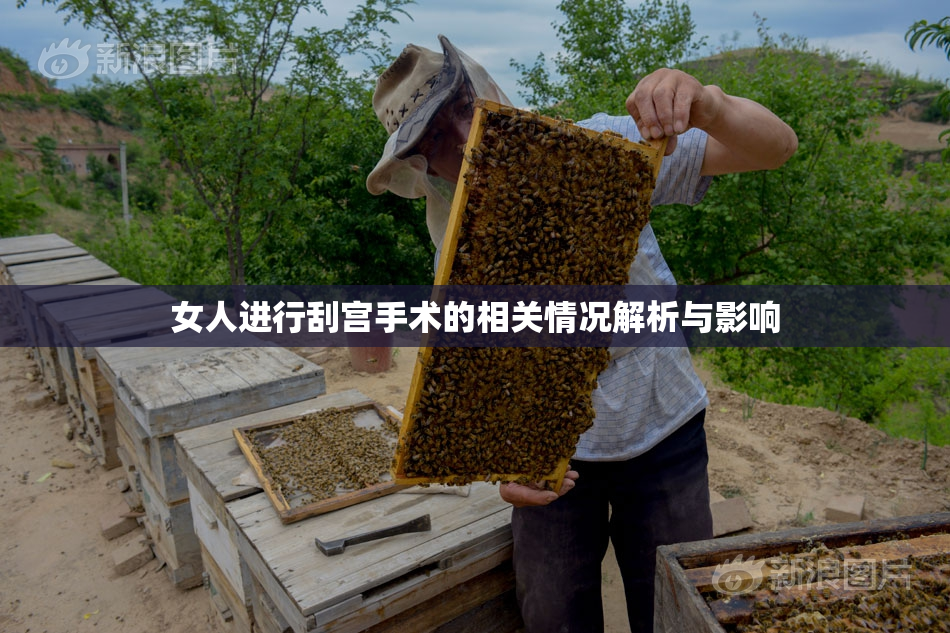 女人进行刮宫手术的相关情况解析与影响