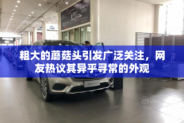 粗大的蘑菇头引发广泛关注，网友热议其异乎寻常的外观